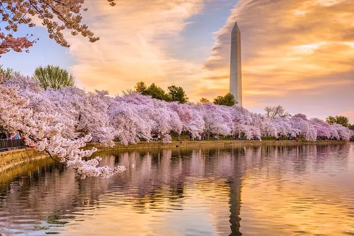 National Mall Tour with 10 Stops & U.S. Capitol or Museum Entry