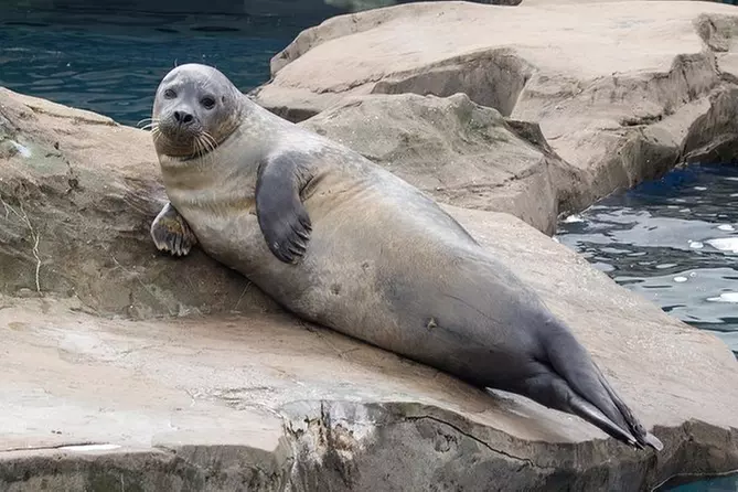 Scarborough SEA LIFE Sanctuary Entrance Ticket - Primary Image