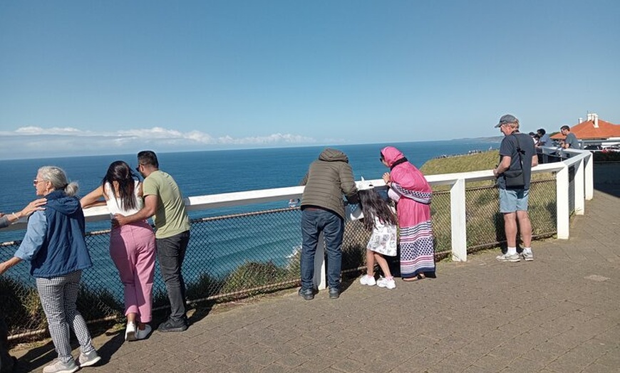 Image 6: Byron Bay and Burleigh Heads Private Tour from Brisbane