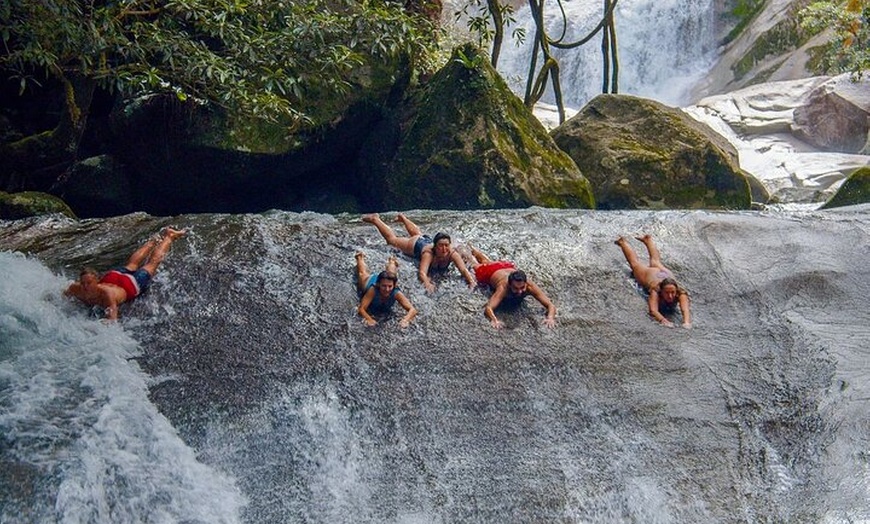 Image 3: 2 Days Tour on Atherton Tablelands and Cape Tribbin