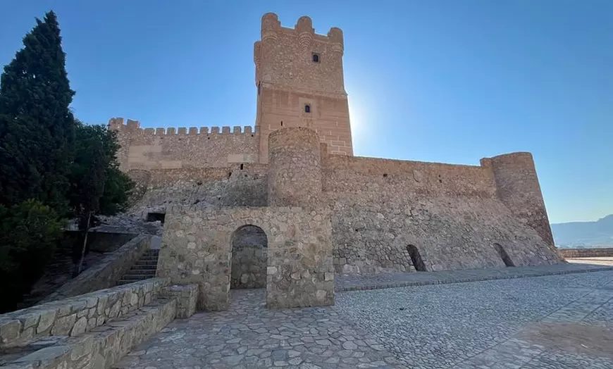 Image 13: Bodega Premium con 7 Catas y Castillo desde Alicante y Benidorm