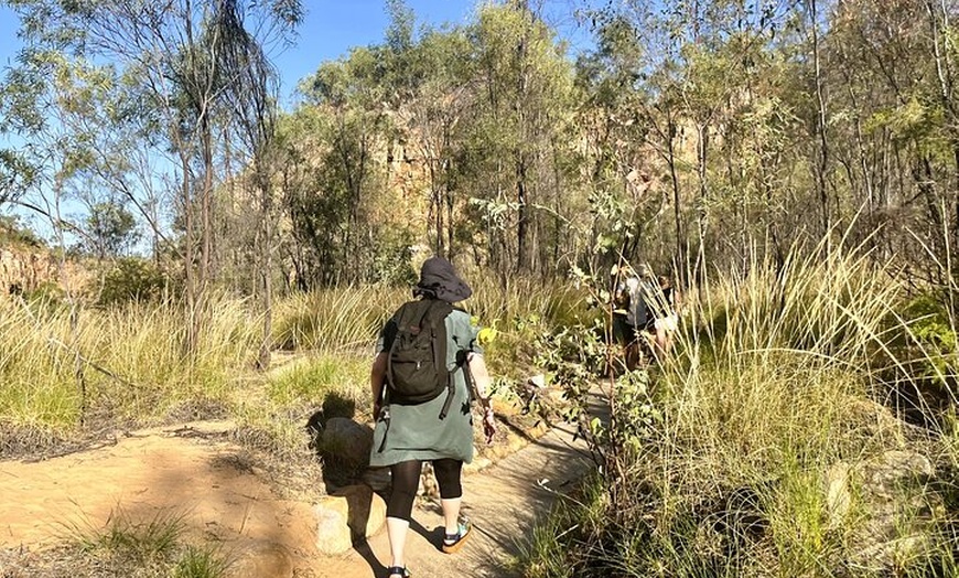 Image 14: Katherine Gorge Cruise & Edith Falls Day Trip from Darwin