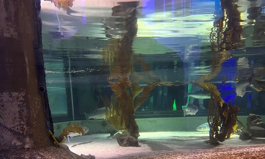 Image 24: London Walking Tour VIP