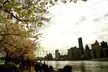 New York City Tour with Bed and Breakfast - Second Medium