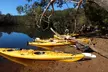 3 Day Guided Kayak Camping Adventure on the Clyde River - Image 7