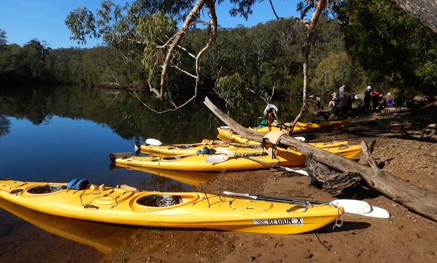 Image 7: 3 Day Guided Kayak Camping Adventure on the Clyde River
