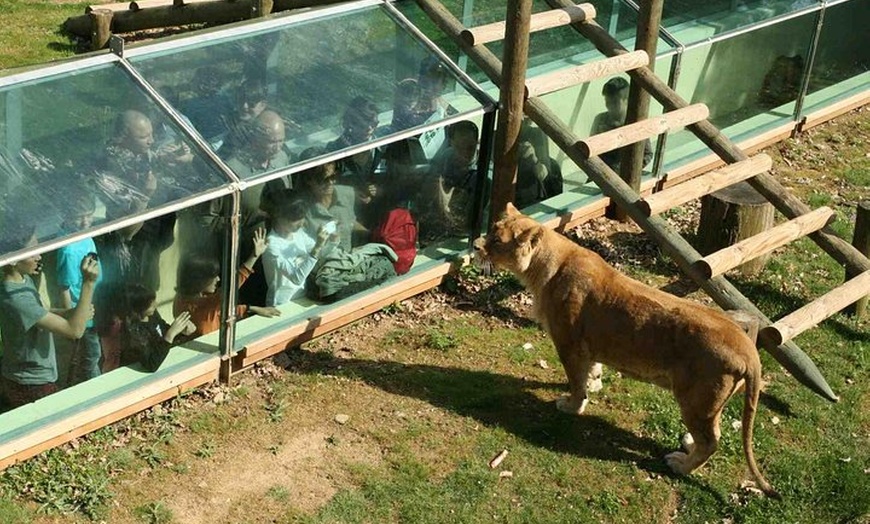 Image 2: Excursion privée au ZooSafari de Thoiry avec transfert au départ de...