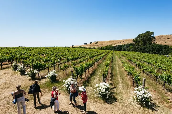 Napa and Sonoma Wine Country Full-Day Tour from San Francisco