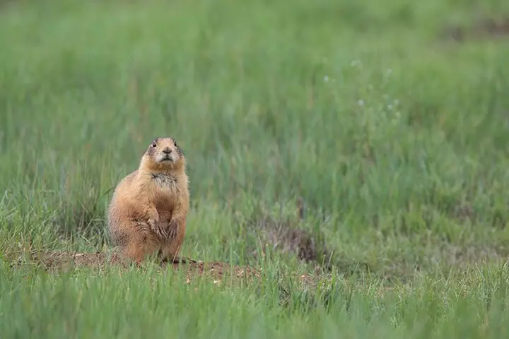 Bryce Canyon National Park Self-Guided Driving Audio Tour
