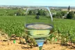Excursion privée d'une journée au champagne avec déjeuner et dégustations de vin - Image 6
