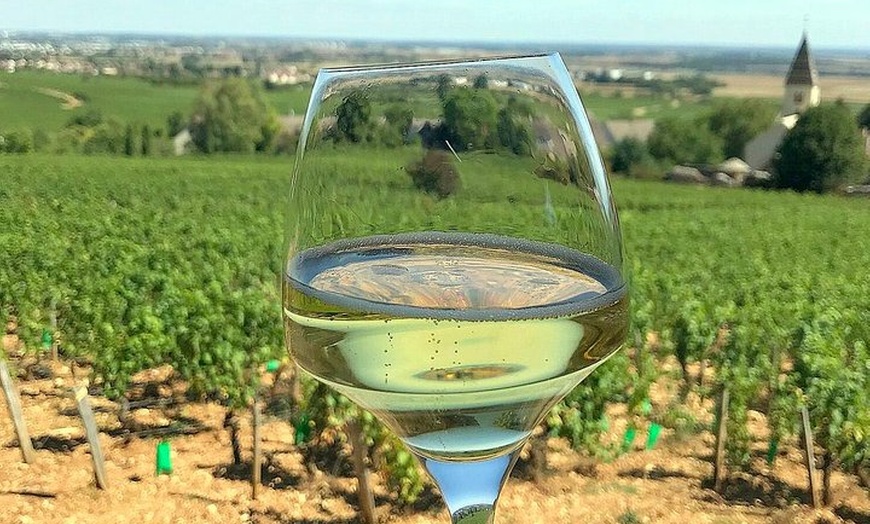 Image 6: Excursion privée d'une journée en Champagne au départ de Paris