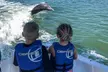 Marco Island Dolphin Watching & Tubing Adventure - Second Medium