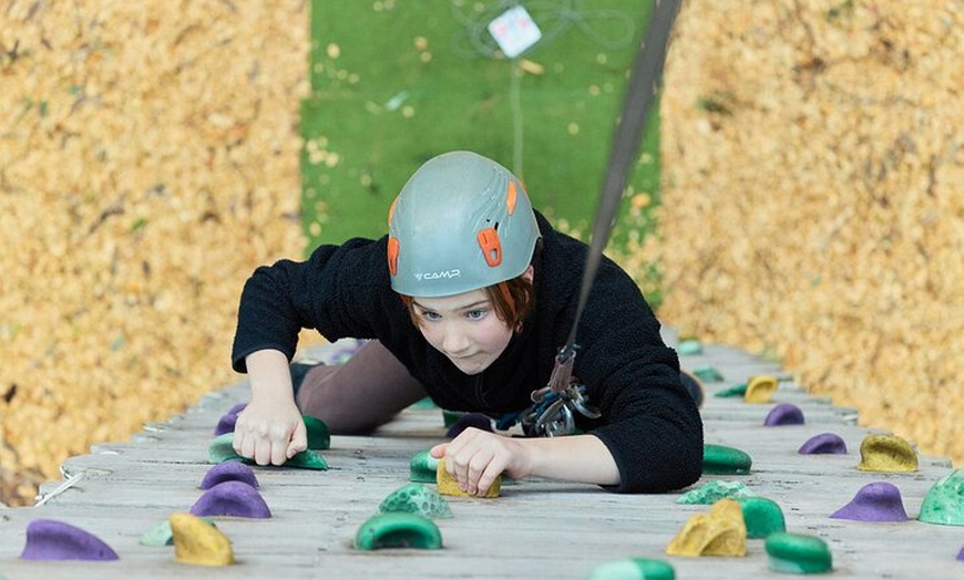 Image 13: Forest Adventures