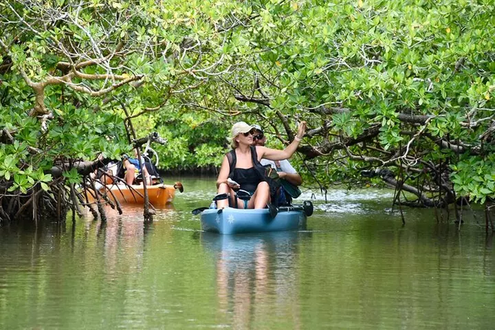 Easy Ride Pedal Kayak Tour Marco Island & Naples (Pedal or Paddle