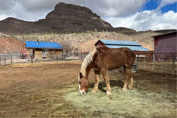 Full Day Grand Canyon Trip with Horseback Ride From Las Vegas