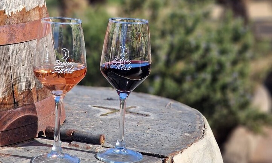 Image 6: Alicante; Recorrido Vinícola Bodega Cata Vinos, Comida y Traslado