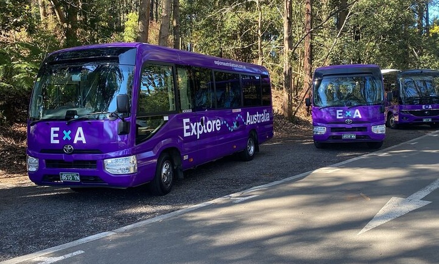 Image 9: Puffing Billy Steam Train Rainforest Tour and Yarra Valley Treats