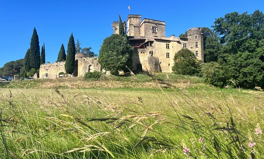 Image 19: Après-midi Villages perchés du Luberon depuis Aix en Provence