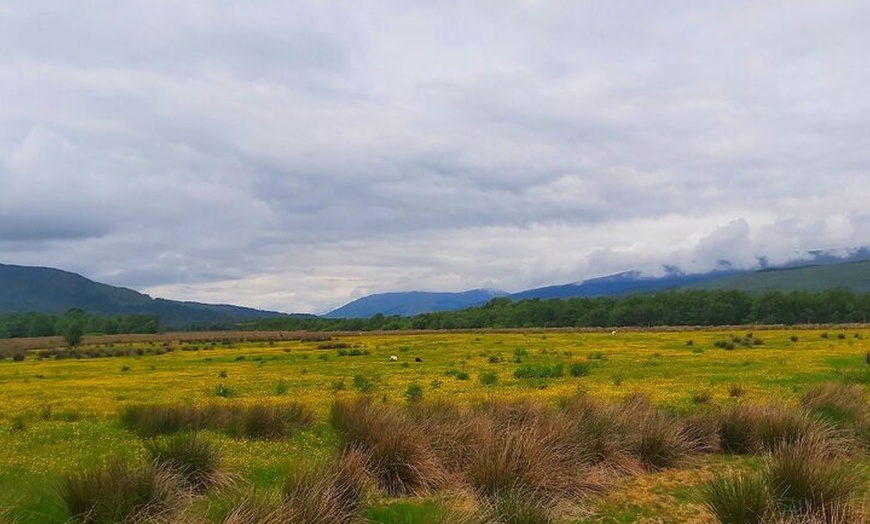 Image 2: Private Scottish Highlands Tour Experience