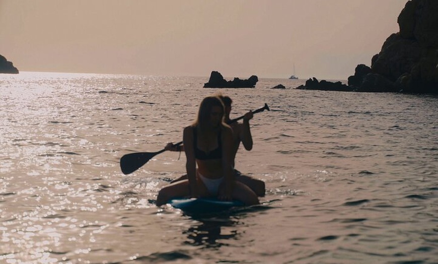 Image 15: Eco Charter Experience Palma