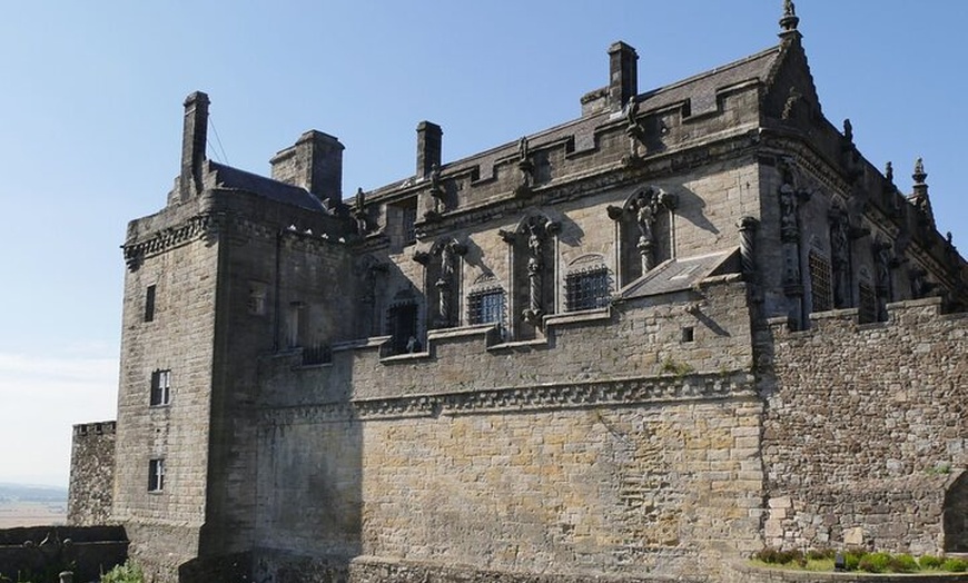 Image 4: The Highland Cows Experience in Scotland