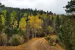 Private Mountain Roads Tour with E Bikes from Denver - Second Medium