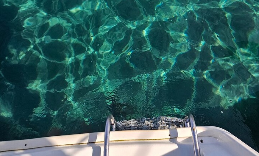 Image 15: Crucero privado por la noche de 3 horas