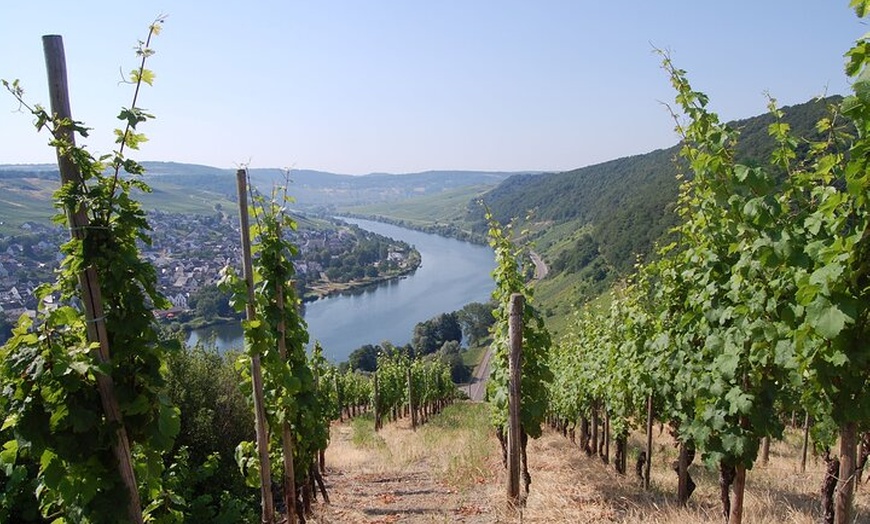 Image 4: Weinerlebniswanderung Cochem