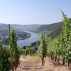 Image 4: Weinerlebniswanderung Cochem