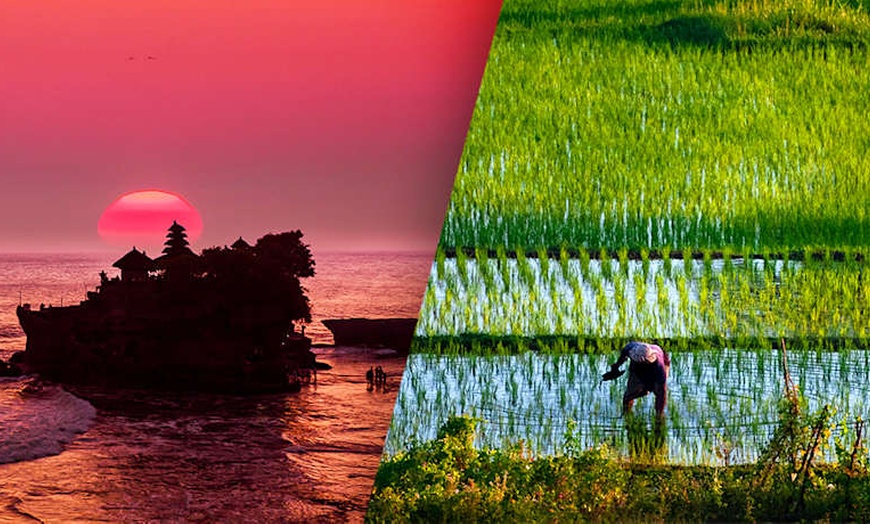 Image 1: ✈ BALI | Denpasar - A la découverte de Bali en famille 3*, 12 nuit ...