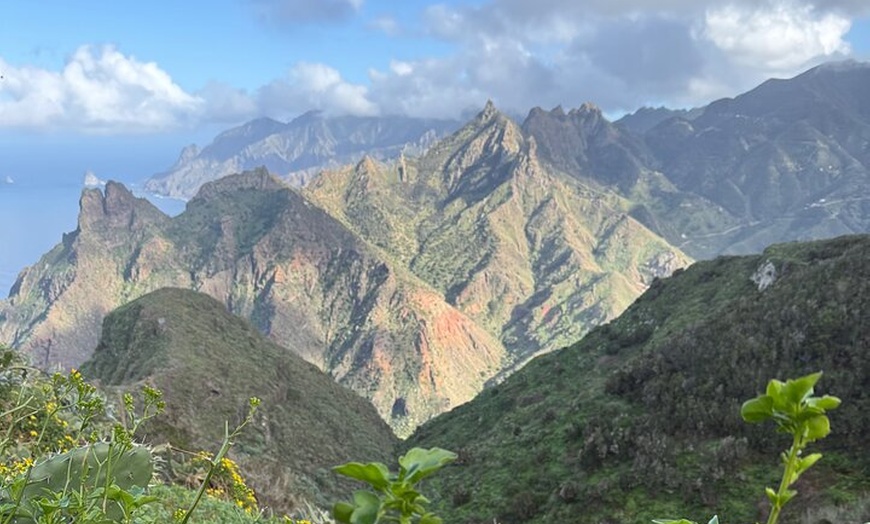 Image 4: Tour de Senderismo en Anaga : Ruta del Taborno con Vistas al Océano...