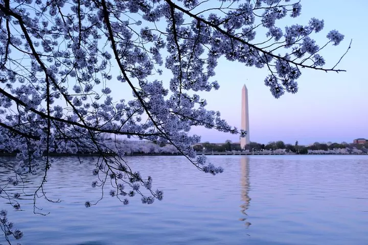 DC Night Tour with 10+ Monuments, National Mall, Entry Tickets
