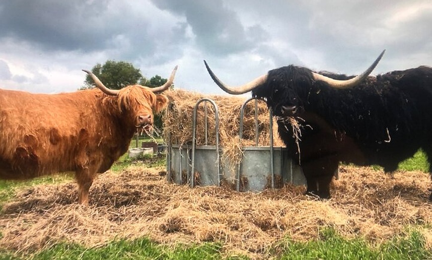 Image 4: Private Orkney Island Tour with Expert Guide