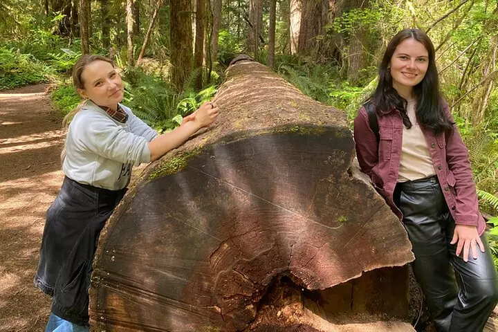 Seattle: Rainforest, Beach, and Olympic National Park Highlights