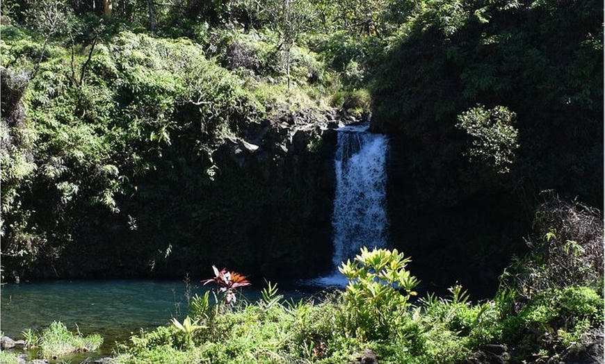 Image 8: Halfway to Hana Sightseeing Adventure