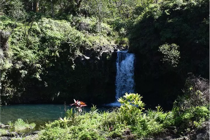 Halfway to Hana Sightseeing Adventure