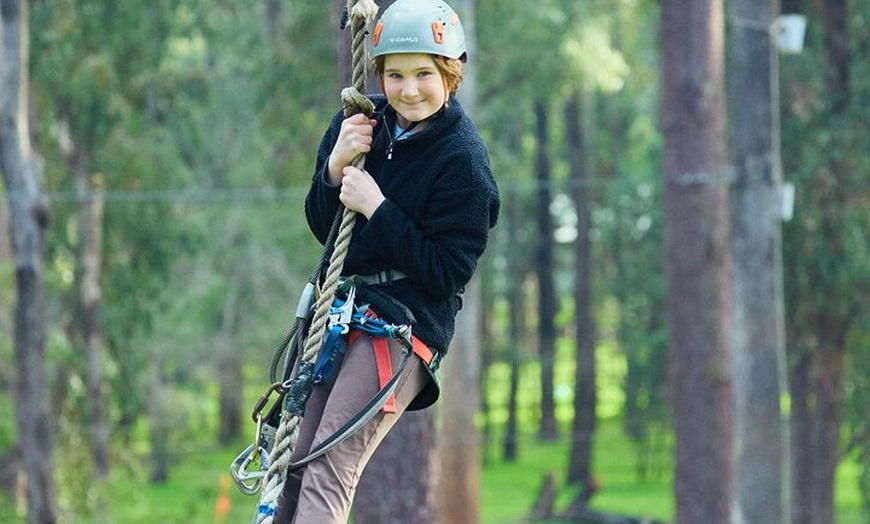 Image 11: Forest Adventures