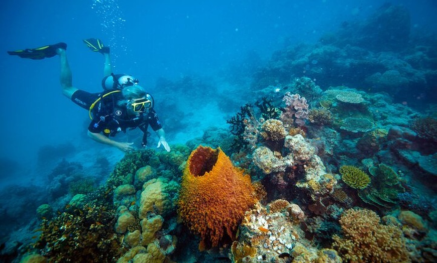 Image 17: 14 Day Tour from Sydney to Cairns Fraser Island and Whitsundays