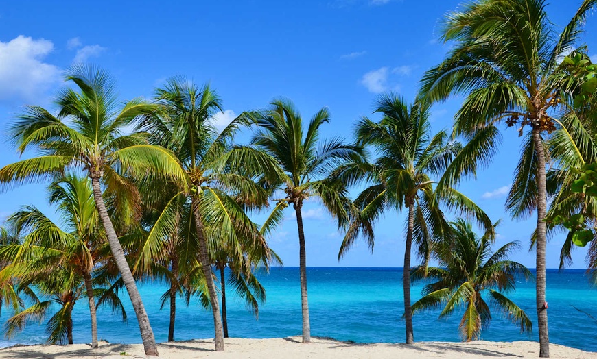 Image 16: ✈ CUBA | Varadero - Domina Marina Varadero Hotel 5*, 5 nuit - Surcl...