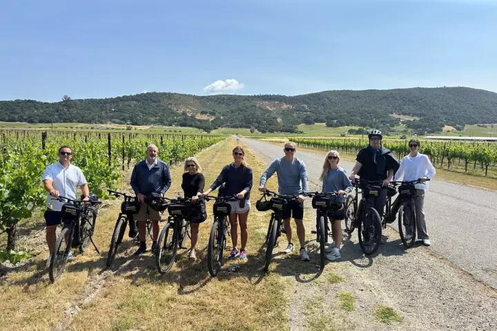 Behind-the-Scenes Food and Wine E-Bike Tour