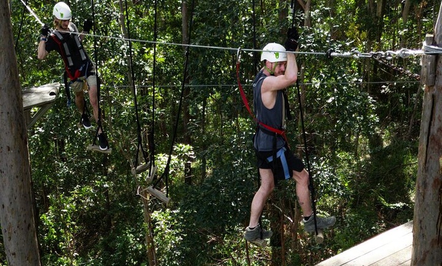 Image 2: Treetop Challenge Adrenaline Pass