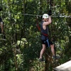 Image 2: Treetop Challenge Adrenaline Pass