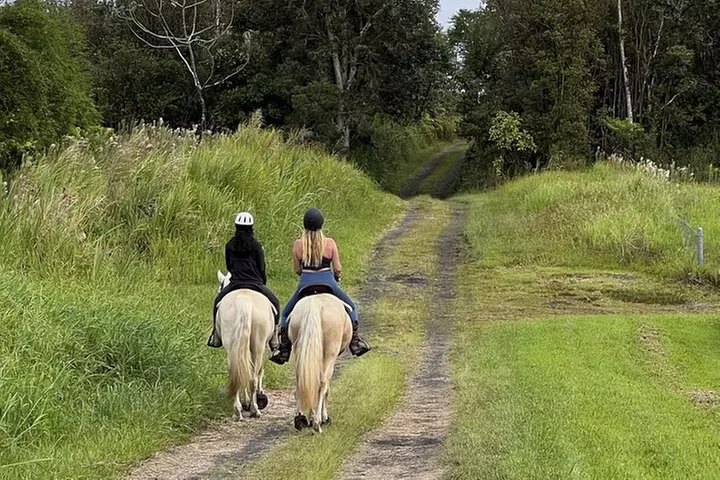 Small Group Rainforest Trail Ride - Primary Image