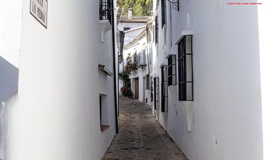 Image 4: Día en Pueblos Blancos y Ronda desde Sevilla