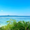 Image 13: ✈ GIAPPONE | Da Tokyo a Osaka - Paradiso Giapponese: Tokyo, Kyoto, ...
