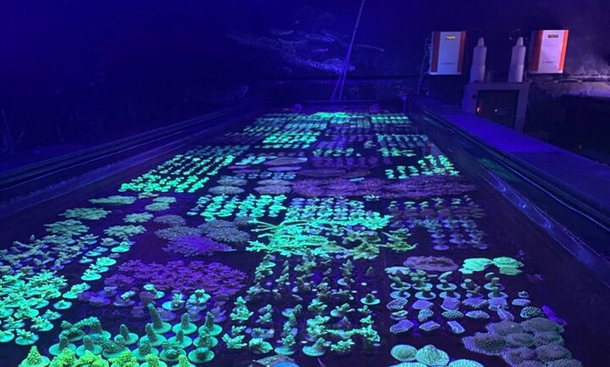 Image 27: Private Guided Tour in Port Douglas and Surrounds