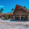 Image 8: ✈ CUBA | Varadero - Hotel Roc Barlovento - Adults Only 4*, 5 nuit -...