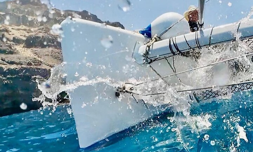 Image 11: Excursiones ecológicas en Catamarán en Gran Canaria