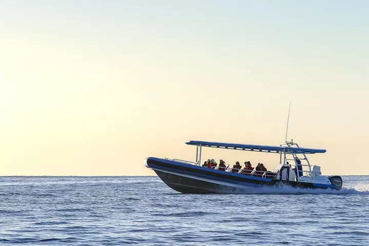 Hunter Coastal Adventure Tour by Boat from Newcastle