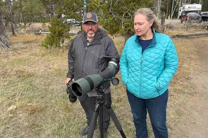Yellowstone PRIVATE Winter SAFARI and Wolf Watching